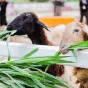 探索体育的精彩世界 - 28圈xinxinhao