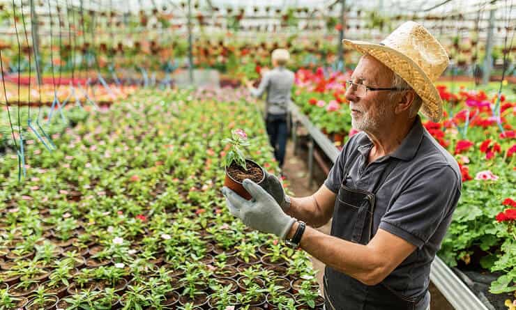 Modern Agriculture - 28圈