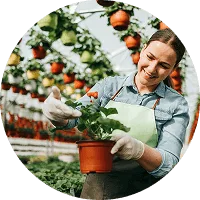 Organic Farming - 28圈
