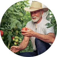 Organic Farming - 28圈