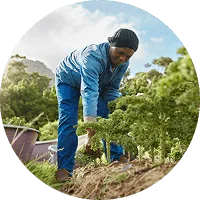 Organic Farming - 28圈